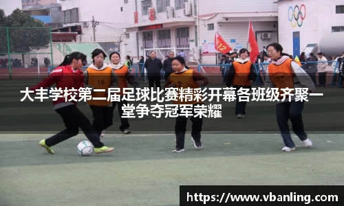 大丰学校第二届足球比赛精彩开幕各班级齐聚一堂争夺冠军荣耀