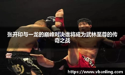 张开印与一龙的巅峰对决谁将成为武林至尊的传奇之战