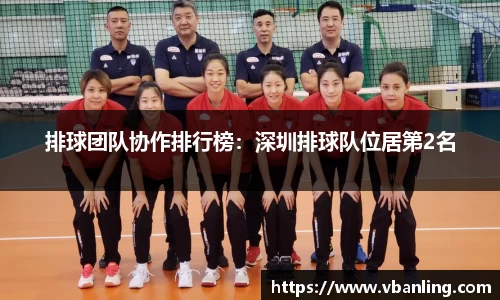 排球团队协作排行榜：深圳排球队位居第2名
